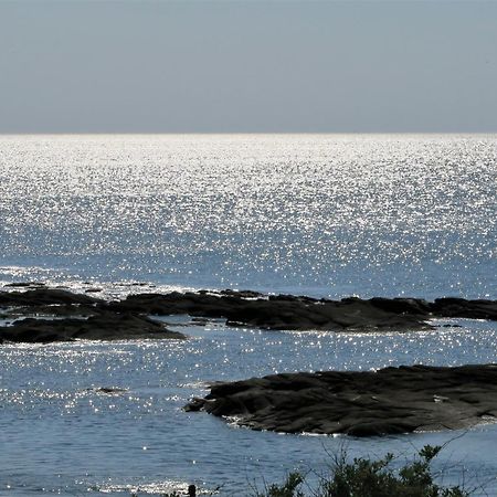 Vitamin Sea La Turballe Bagian luar foto