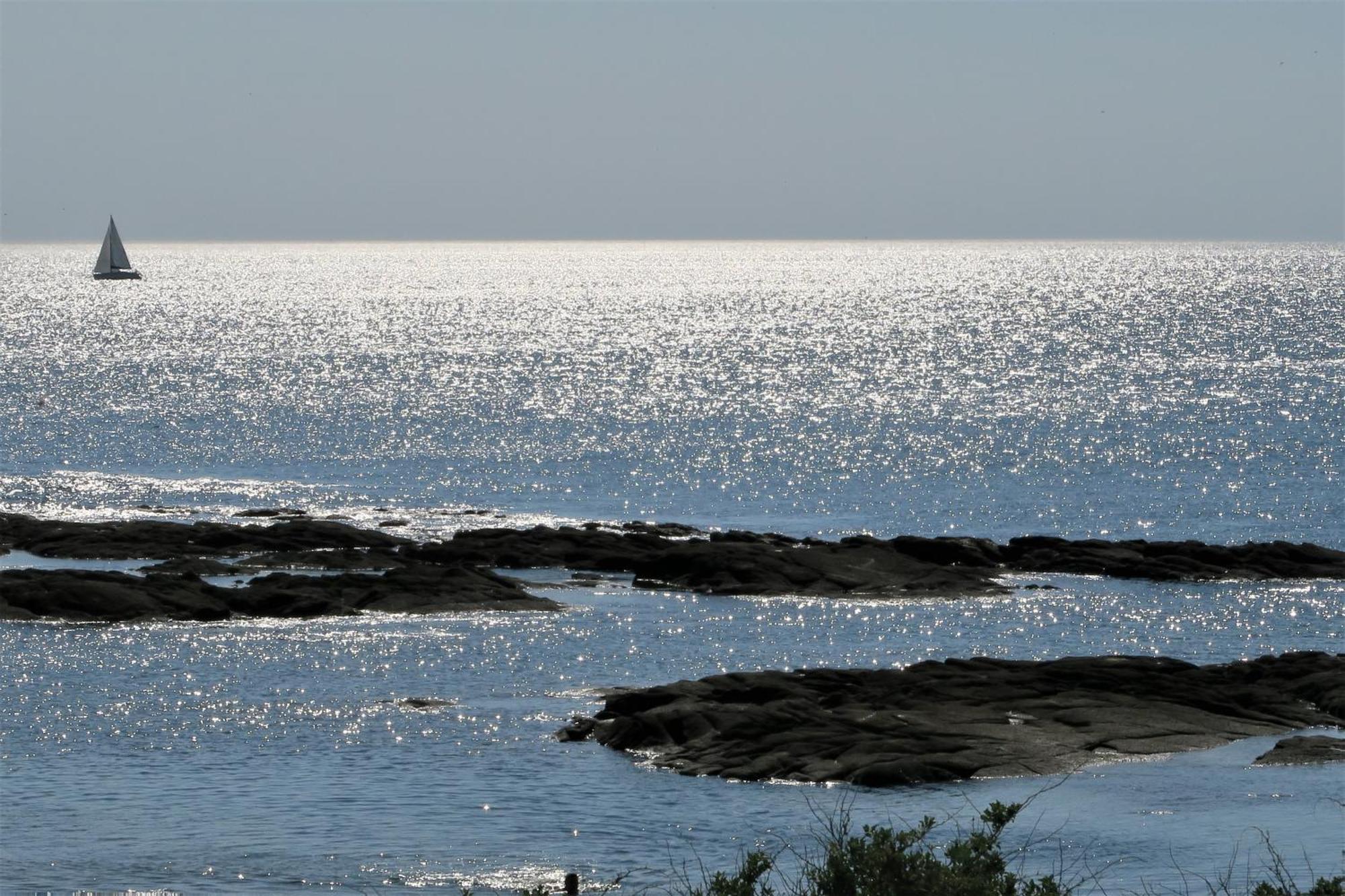 Vitamin Sea La Turballe Bagian luar foto